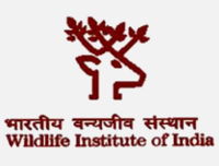Wildlife-Institute-of-India