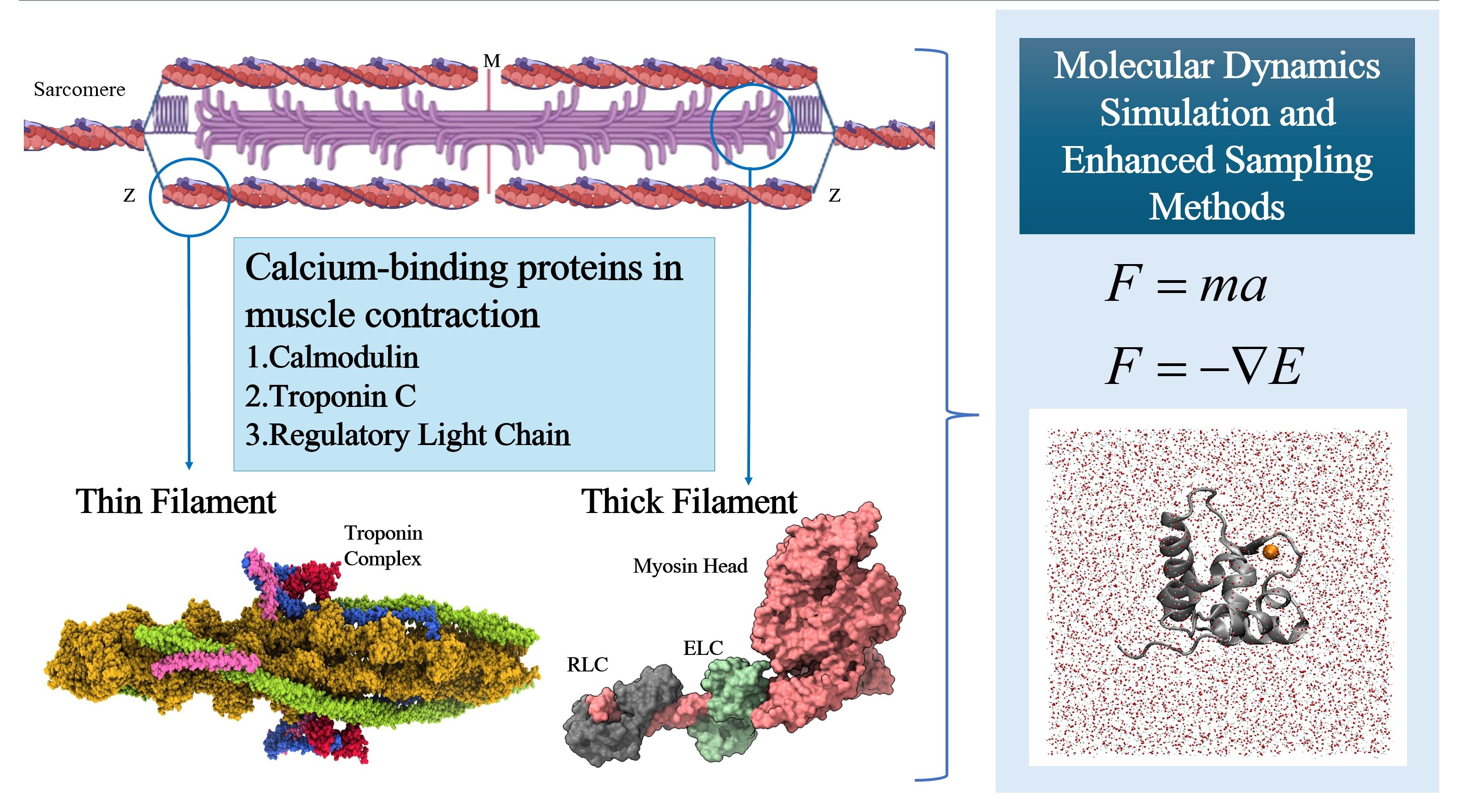 Research Image