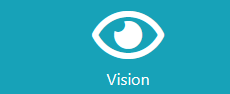 Vision
