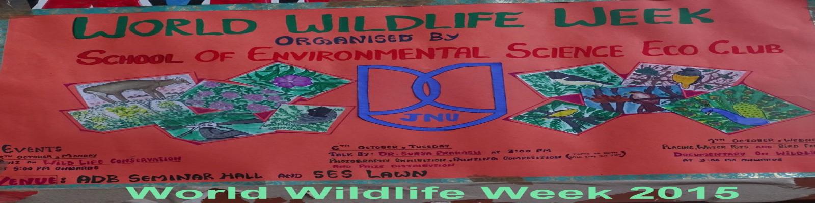 SES School Banner